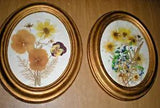 ITALIAN FRAMED WALL HANGINGS, Real Pressed Flowers in Gold-Toned (2)Oval Frames