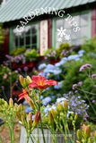 Blooming Window Boxes and Garden Flowers Around the Potting Shed Flower Delivery