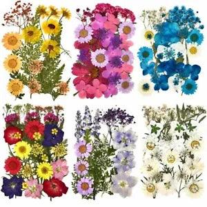 1pack Dried Flowers Resin Fillings Natural Dry Flower Decal Jewelry Making Fille