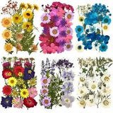 1pack Dried Flowers Resin Fillings Natural Dry Flower Decal Jewelry Making Fille