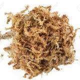Premium Sphagnum Mosse for hydrating plants, wall plant, monstera, rare plan, orchid