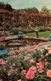 Portland OR Vintage Postcard Water Lily Rose Arbor LAMBERT Gardens