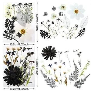 Pressed Flowers Bulk Dried Flower for Resin Mold, Dried Flower Leave Natural