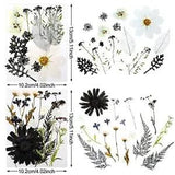Pressed Flowers Bulk Dried Flower for Resin Mold, Dried Flower Leave Natural