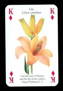 1 x playing card Bible tree/plant/flower Lily - King of Diamonds Q78