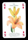1 x playing card Bible tree/plant/flower Lily - King of Diamonds Q78