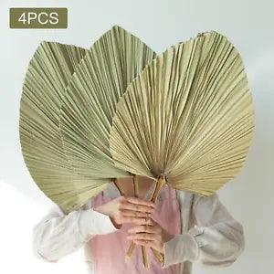 Dried Palm Leaves 4 Pieces Natural Dried Palm Spear Large Dried Palm Fans Dried