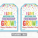 I love Watching Our Friendship Grow Valentine, Seeds, Plant, Expandable Grow Toy, Preschool Classroom Kids Printable Non-Candy Valentine Tag