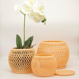 Alt??? Bomi Planter: Designed for Orchids & Root Aeration
