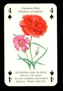 1 x playing card Shakespeare flower Carnation (Pink) 4 of Spades Q80