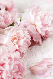 Free Photo | Fresh beautiful peony flowers Flower Delivery