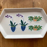 Pothos and Orchid Plant Stickers