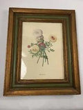 Vintage Ranunculus by Georg Ehret In 21''x17'' Frame Botanical Rose Flower Print