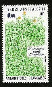 1990 FRANCE SOUTH ANTARCTIC TERRITORY RANUNCULUS PSEUDO TRULLIFOLIA FLOWER MINT