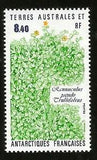 1990 FRANCE SOUTH ANTARCTIC TERRITORY RANUNCULUS PSEUDO TRULLIFOLIA FLOWER MINT