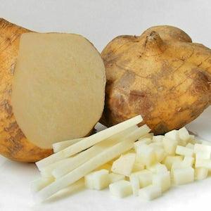 10 seed potato bean pachyrhizus erosus yam bean mexican potato seeds - True Jicama