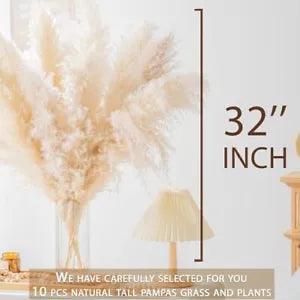 New ListingTall Pampas Grass Boho Decor Natural Home Decor Phragmites Dried Flowers