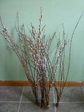50 Dried Willow Branches 2.5 ft tall home decor floral decor floral crafts #C