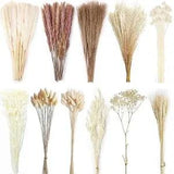 Dried Pampas Grass Boho Decor 11 Various Natural Fluffy Dried Flowers 327