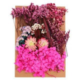 Natural Dried Flowers Multiple Real Dried Pressed Flowers Plant Rose Red