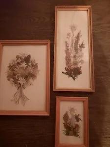 Set Of 3 Framed Dried Flowers Wall Hangings-Handmade
