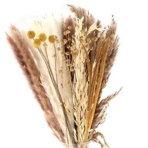 70 Pieces Natural Dried Pampas Grass Bouquet Mixed for Flower Arrangements