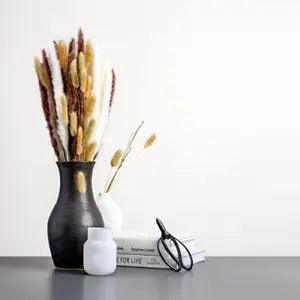 OT ACCENTS Premium Natural Dried Pampas Grass | Boho Home and 54cm, Brown