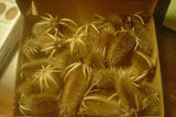 DRIED MICHIGAN TEASELS FLORAL DISPLAY CRAFT IDEAS BOX of 25+ HEADS  2" - 3" LONG