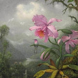 Martin Johnson Heade - Hummingbird Perched on an Orchid Plant Painting Poster Print Textured Photo Paper