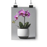 Rare orchid minimalist Gicl???e Art Print | orchid lovers