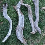 2 22' in untreated gray manzanita branches driftwood vivarium aquarium terrarium air plants orchids planter crafts gecko garden macrame