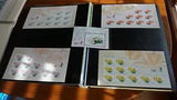 China 2003-4 Lily Stamp 4V Full S/S Flower Plant ?????? + Souvenir Sheet