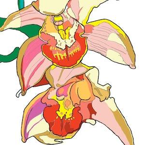 Two Hanging Orchids