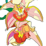 Two Hanging Orchids