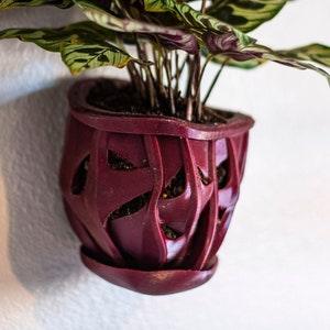 Large Hanging Wall Orchid Planter (8'' OD)  Unique Ivy, Coral, Twisted Root Design - Nontoxic Material