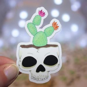 Skull cactus succulent plant sticker skeleton flower witchy houseplant creepy cottage monstera magic floral spooky halloween laptop decal