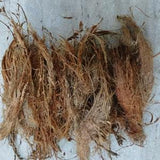 Coconut Husk Coir Fiber for Planting Orchid Epiphites Anthuium Tropical plants