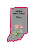 Indiana State Flower Peony 3x5 inch Sticker Decal