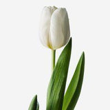 White Roses and Flowers | White Flower Arrangements | FLOWERBX Flower Delivery
