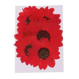 6Pcs  Applique Natural Dried Flowers for Candle Craft Making, Home Decoration