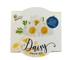 Buzzy Daisy Grow Kit - pot, flower seeds and plant soil