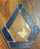 Framed Dried Flower & Butterfly Under Glass Window Sun Catcher