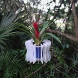 CORSET -Orchid Basket-Hanging Basket-Bromeliad Basket-Medium Size-Hanging Planter-Decorative planter