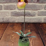 Mini Artificial Paphiopedilum Lady Slipper Orchid On Disc. Silk Flowers BURGUNDY