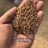 Premium Gold Maifan stone for Succulent Soil 5KG