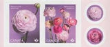 RANUNCULUS - PERSIAN BUTTERCUP  Flowers = middle BK pair Canada 2023 MNH