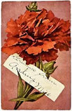 Antique Postcard 1907-1912 Red Carnation GREETINGS FROM ANDING MISSISSIPPI