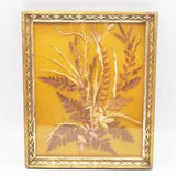 Framed Dried Flowers Plants Wood Frame