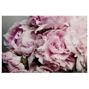 Peonies Galore II Poster Art Print, Peony Home Decor