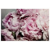 Peonies Galore II Poster Art Print, Peony Home Decor